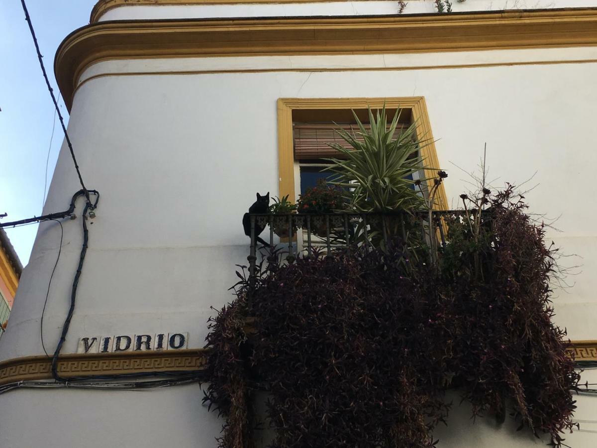 Vidrio Apartment — Photos 3
